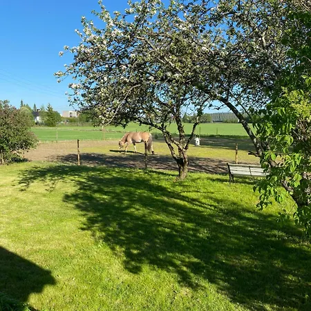Villa Sundby Fjordhestgard à Garder Extérieur photo